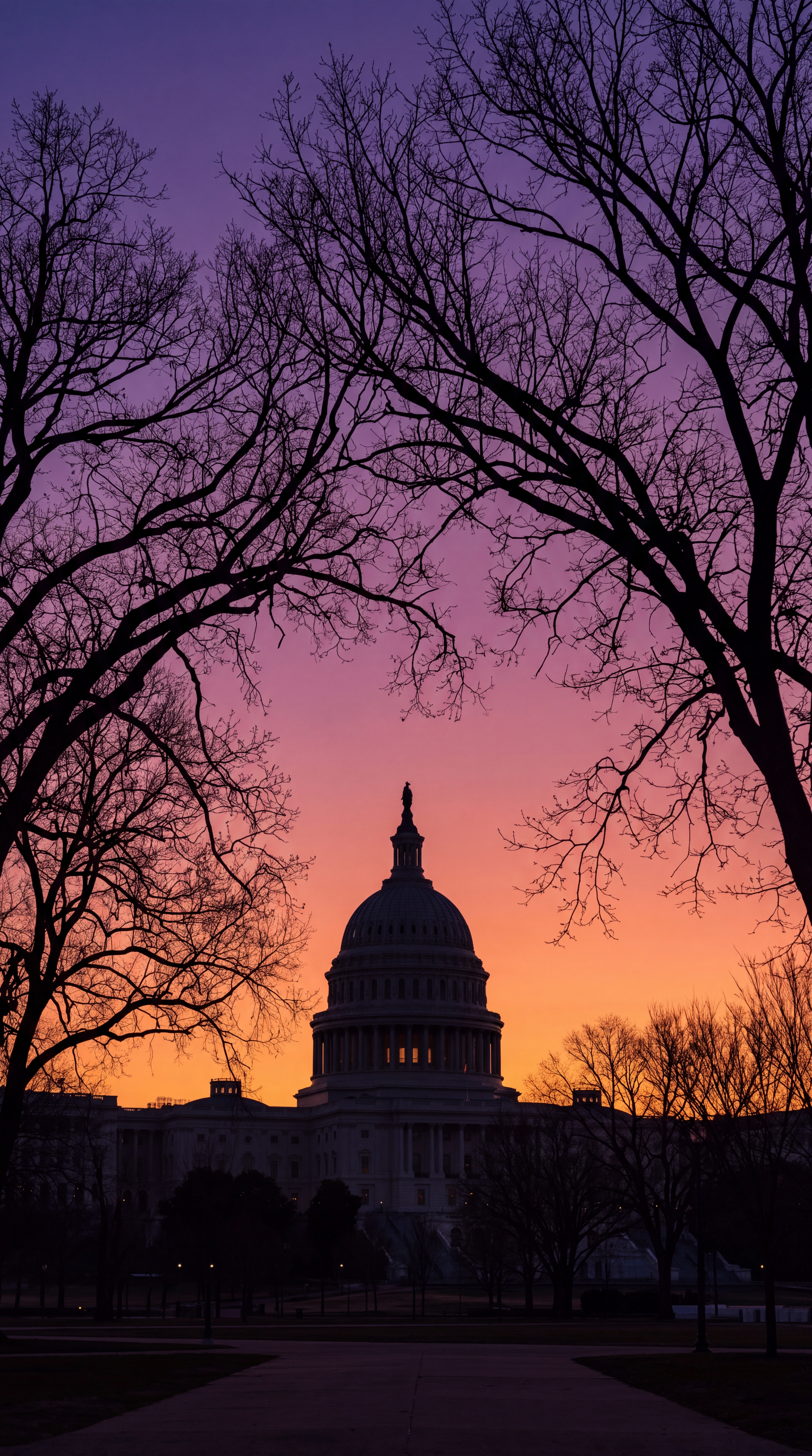 The silhouette of a dome building is framed by bare trees against a colorful sunset sky.